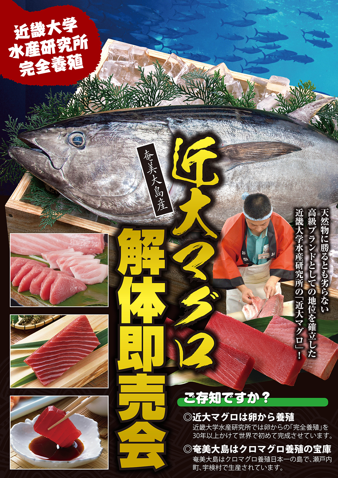 マグロチラシ